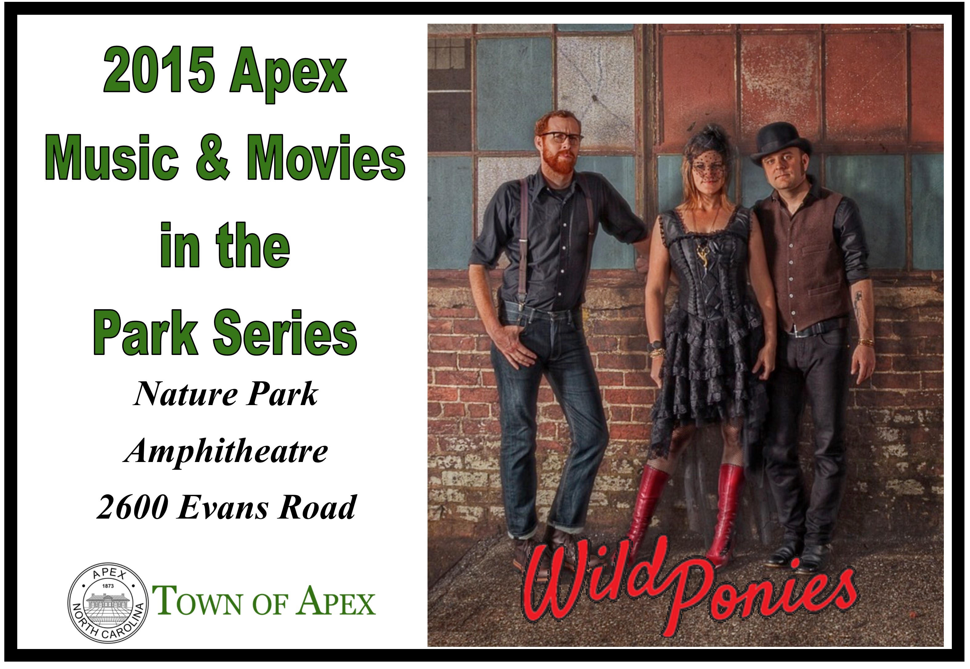 AMITPS Wild Ponies.jpg